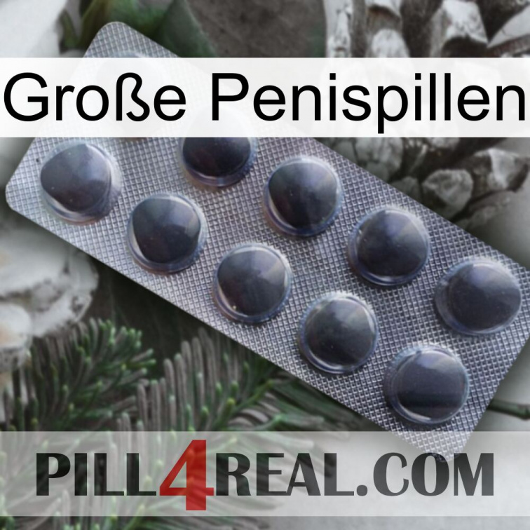 Große Penispillen 30